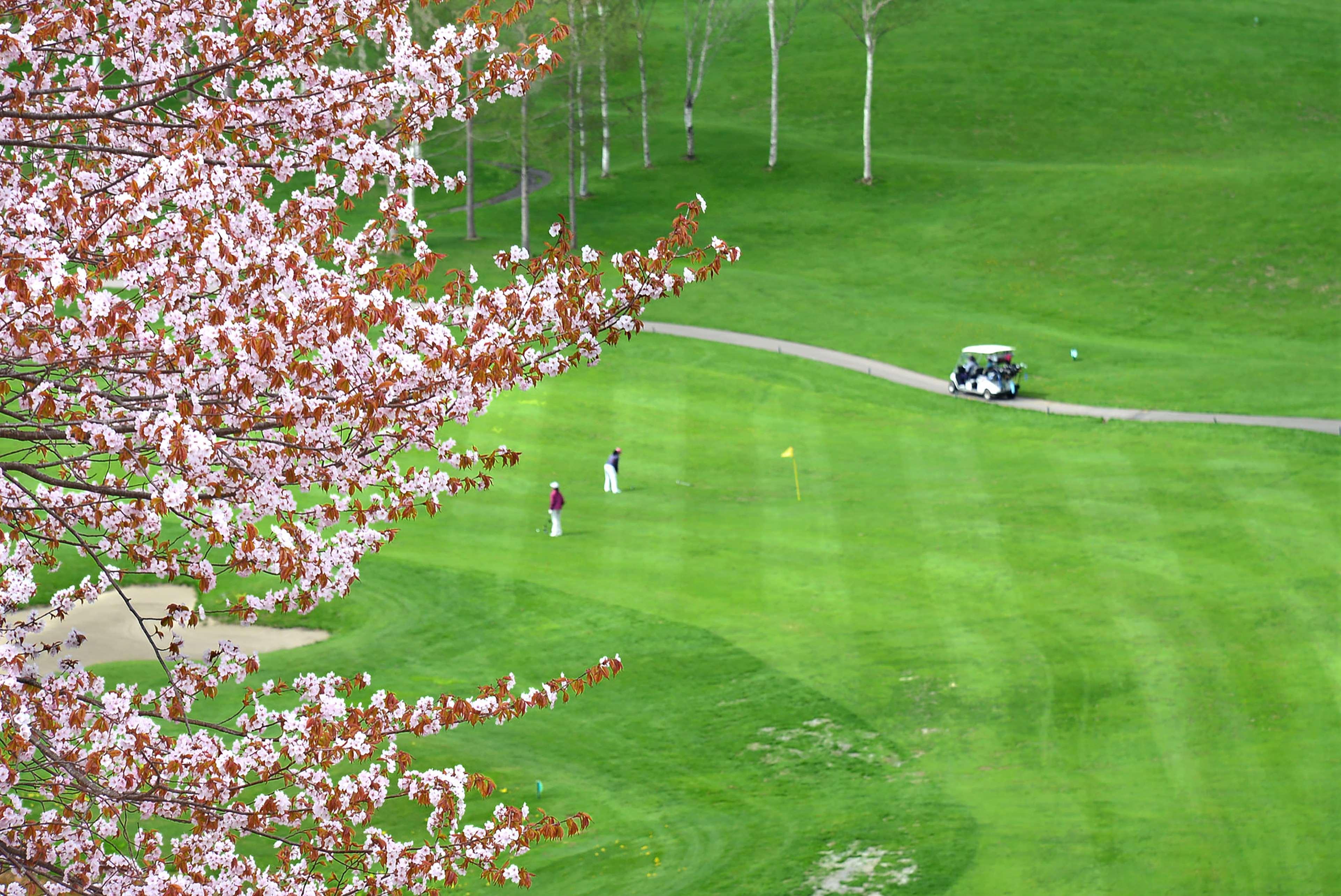 Hilton Niseko Village Dış mekan fotoğraf Golf course in the spring